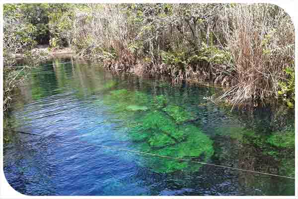 Cenote Escondido | Photo by tulumrealestate