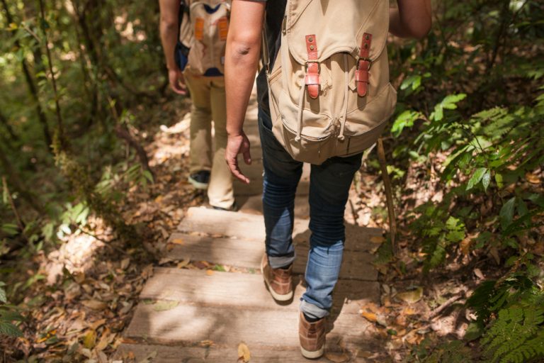 OUTDOOR ADVENTURES HIKING