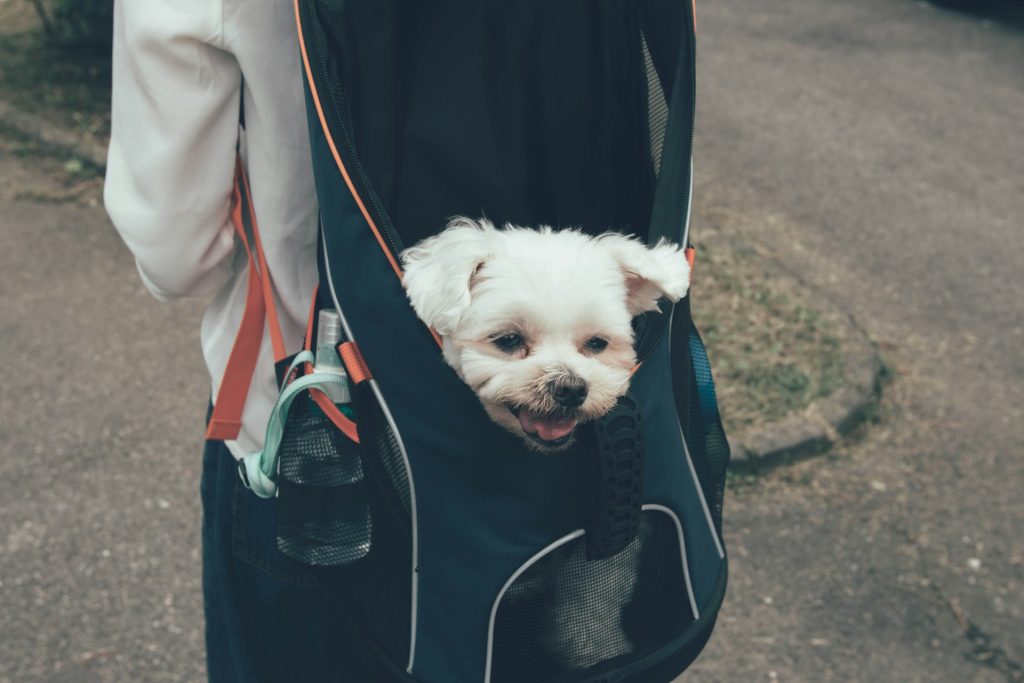 PETS