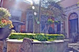 Los Abolengos en Tequila, Jalisco