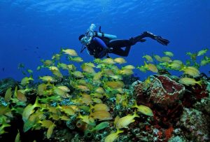 Buceo en la isla de Cozumel