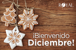 Llega diciembre y con él nuestra edición mensual del News.