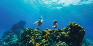 playas más bonitas de méxico