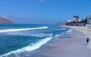 playa gaviotas