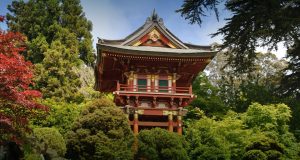 Tea Garden