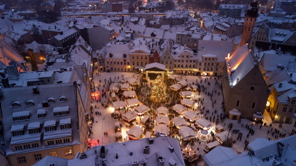 pexels-anton-massalov-2286386-29845108 mercados navideños
